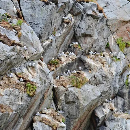 7 Person In Sortland-by Traum Сasa de vacaciones *