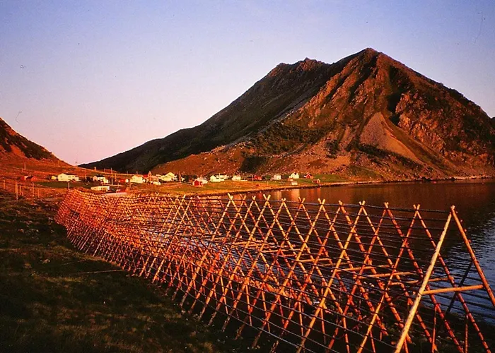 7 Person In Sortland-by Traum Sortland