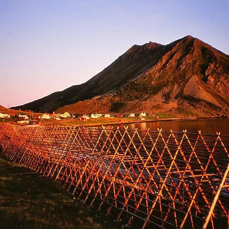 7 Person In Sortland-by Traum Sortland