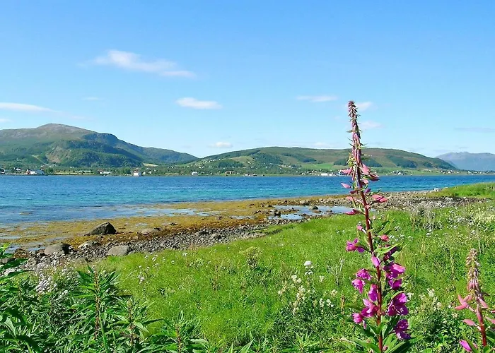 Ferienhaus 7 Person In Sortland-by Traum